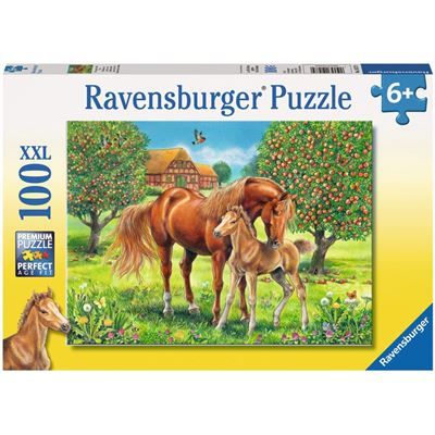 Spiel 5006.0