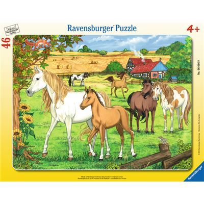 Spiel 5027.0